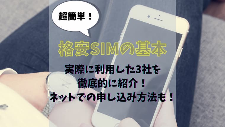 格安simの基本から実際に利用したキャリアを比較 料金やキャンペーン内容も紹介 気まぐれブログ